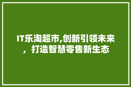 IT乐淘超市,创新引领未来，打造智慧零售新生态