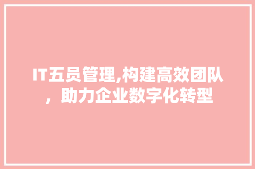 IT五员管理,构建高效团队，助力企业数字化转型 头条优化