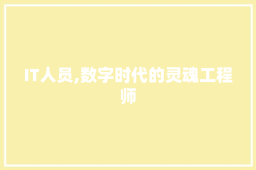 IT人员,数字时代的灵魂工程师