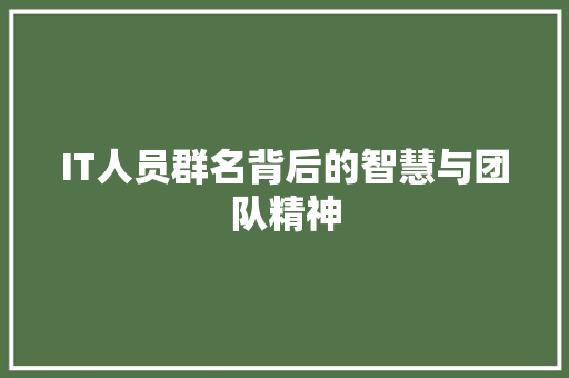 IT人员群名背后的智慧与团队精神 360搜优化
