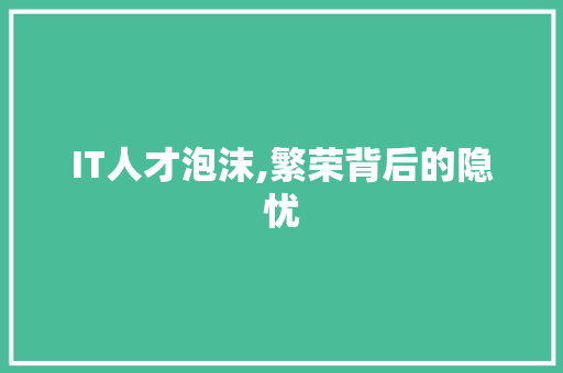 IT人才泡沫,繁荣背后的隐忧