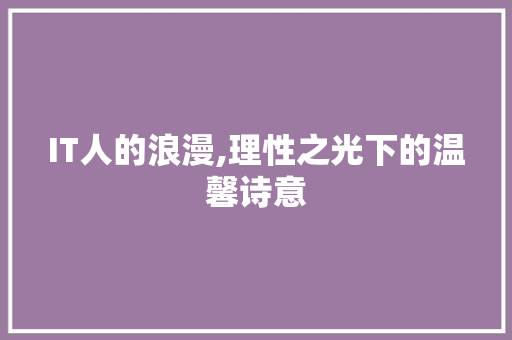 IT人的浪漫,理性之光下的温馨诗意 网站开发