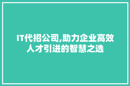 IT代招公司,助力企业高效人才引进的智慧之选 网站开发