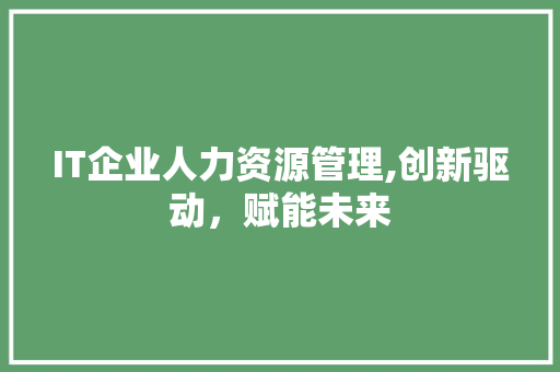 IT企业人力资源管理,创新驱动，赋能未来