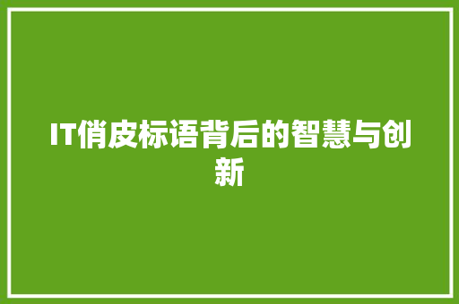 IT俏皮标语背后的智慧与创新 头条优化