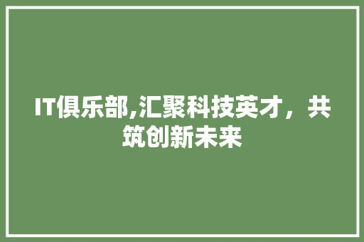 IT俱乐部,汇聚科技英才，共筑创新未来