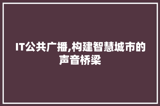 IT公共广播,构建智慧城市的声音桥梁