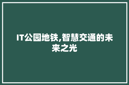 IT公园地铁,智慧交通的未来之光