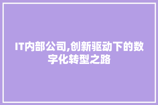 IT内部公司,创新驱动下的数字化转型之路 英文谷歌算法