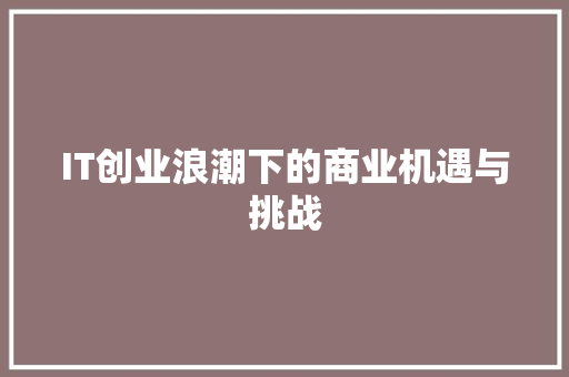 IT创业浪潮下的商业机遇与挑战