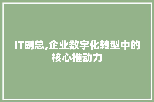 IT副总,企业数字化转型中的核心推动力