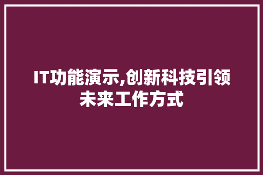 IT功能演示,创新科技引领未来工作方式 小程序开发
