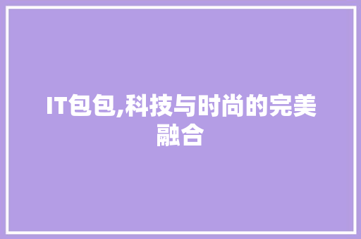 IT包包,科技与时尚的完美融合 AI技术学习