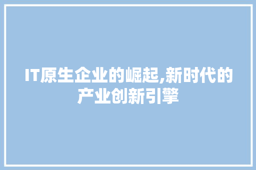 IT原生企业的崛起,新时代的产业创新引擎