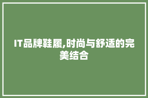 IT品牌鞋履,时尚与舒适的完美结合