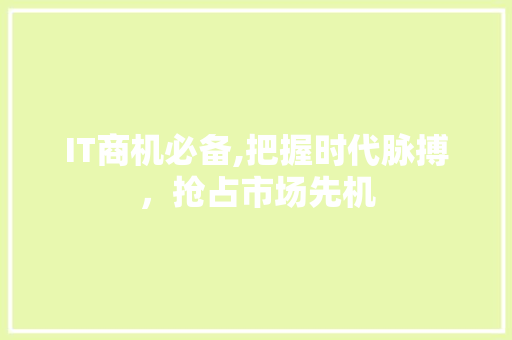 IT商机必备,把握时代脉搏，抢占市场先机 头条优化