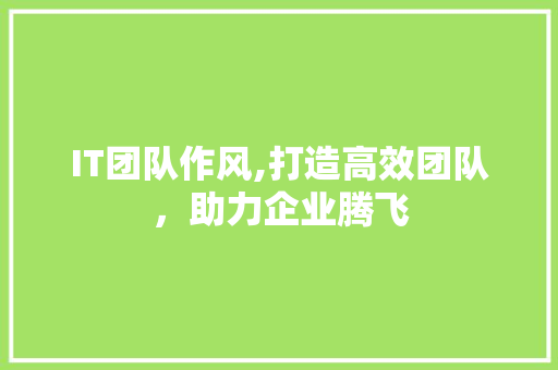 IT团队作风,打造高效团队，助力企业腾飞
