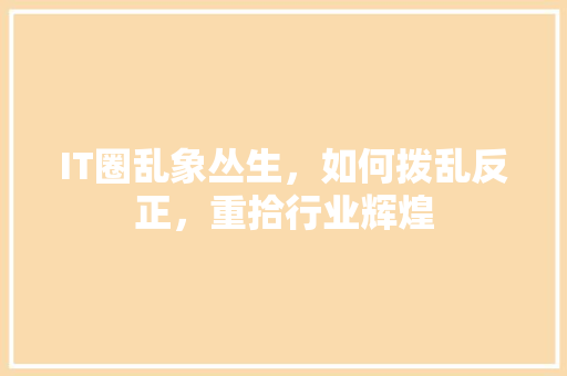 IT圈乱象丛生，如何拨乱反正，重拾行业辉煌 小程序开发
