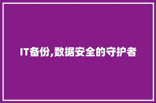 IT备份,数据安全的守护者 百度算法