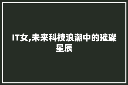 IT女,未来科技浪潮中的璀璨星辰 小程序开发
