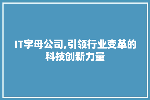 IT字母公司,引领行业变革的科技创新力量 网站开发