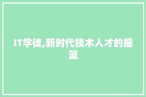 IT学徒,新时代技术人才的摇篮 头条优化