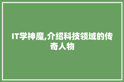 IT学神魔,介绍科技领域的传奇人物 头条优化