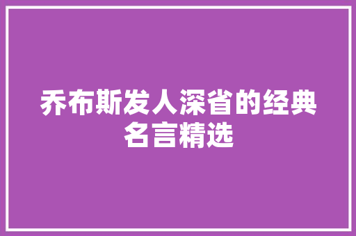 CMS参数在网站优化中的应用与步骤