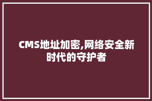 CMS地址加密,网络安全新时代的守护者