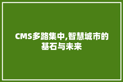 CMS多路集中,智慧城市的基石与未来