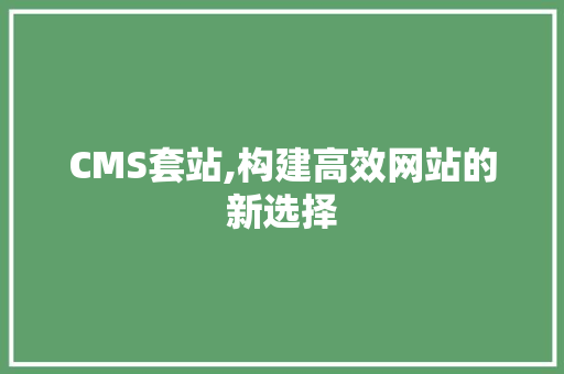 CMS套站,构建高效网站的新选择