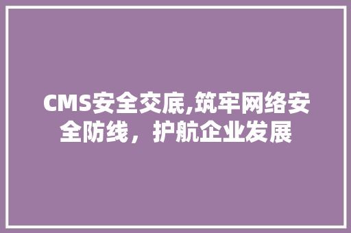 CMS安全交底,筑牢网络安全防线，护航企业发展