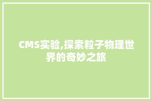 CMS实验,探索粒子物理世界的奇妙之旅