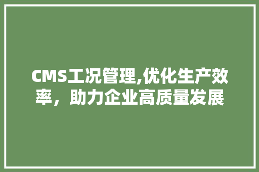 CMS工况管理,优化生产效率，助力企业高质量发展 小程序开发