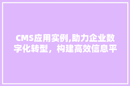 CMS应用实例,助力企业数字化转型，构建高效信息平台