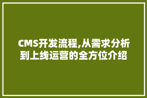 CMS开发流程,从需求分析到上线运营的全方位介绍