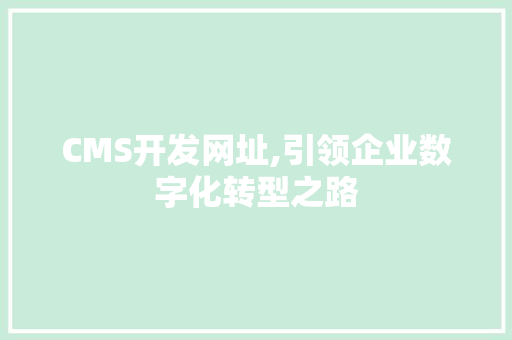 CMS开发网址,引领企业数字化转型之路 网站开发