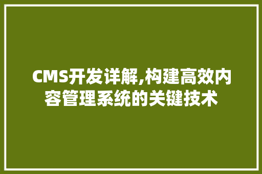CMS开发详解,构建高效内容管理系统的关键技术