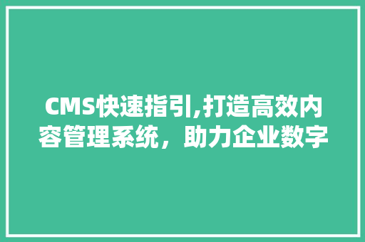 CMS快速指引,打造高效内容管理系统，助力企业数字化转型
