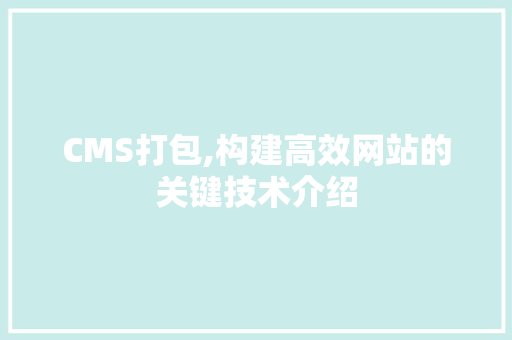 CMS打包,构建高效网站的关键技术介绍 小程序开发