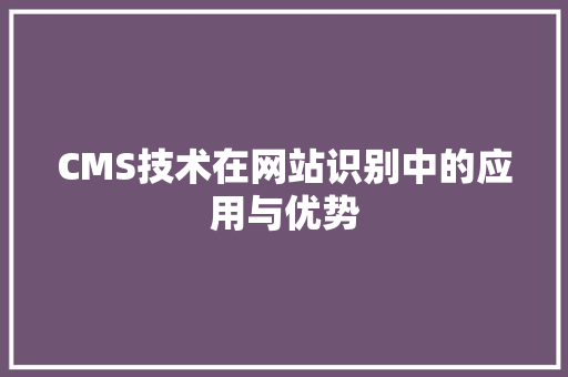 CMS技术在网站识别中的应用与优势