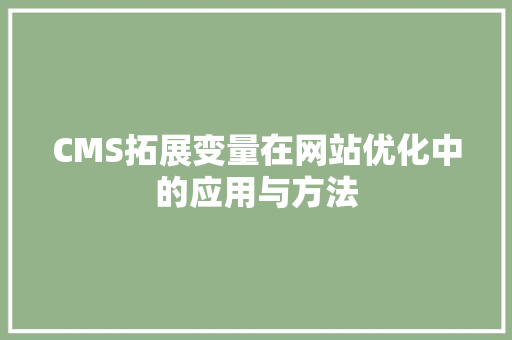 CMS拓展变量在网站优化中的应用与方法