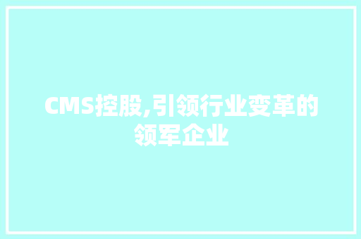 CMS控股,引领行业变革的领军企业 网站开发