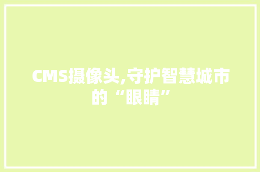 CMS摄像头,守护智慧城市的“眼睛”
