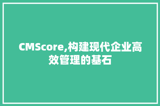 CMScore,构建现代企业高效管理的基石