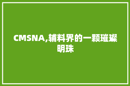 CMSNA,辅料界的一颗璀璨明珠 网站优化