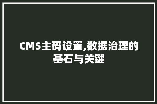 CMS主码设置,数据治理的基石与关键