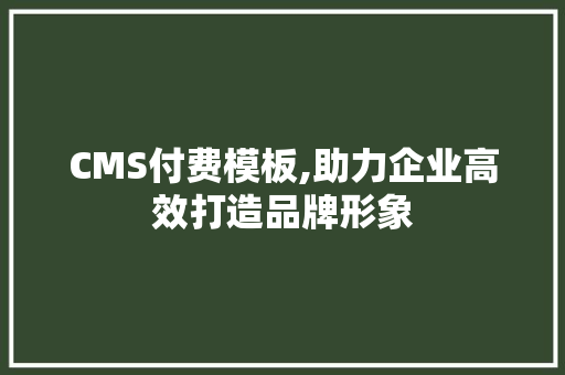 CMS付费模板,助力企业高效打造品牌形象 seo技术