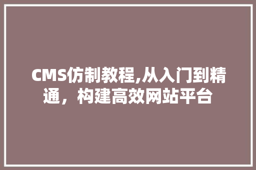 CMS仿制教程,从入门到精通，构建高效网站平台 360搜优化