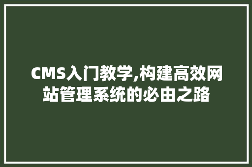 CMS入门教学,构建高效网站管理系统的必由之路